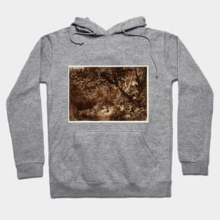 Aesacus and Hesperie, 1816 Hoodie